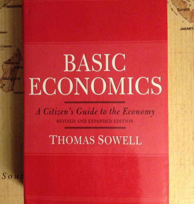 Basic Economics Book